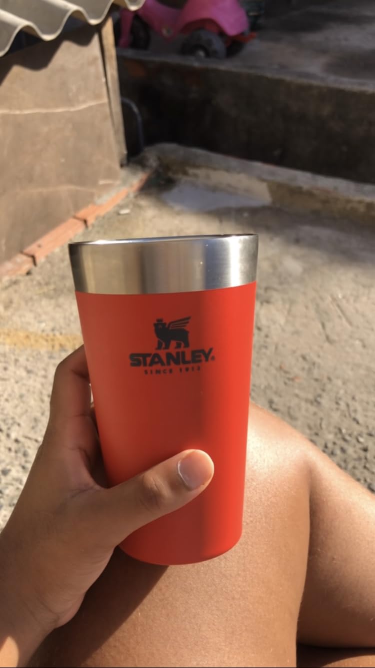 Stanley - Copo de cerveja isolado, copo empilhável Stay Chill de 473 ml